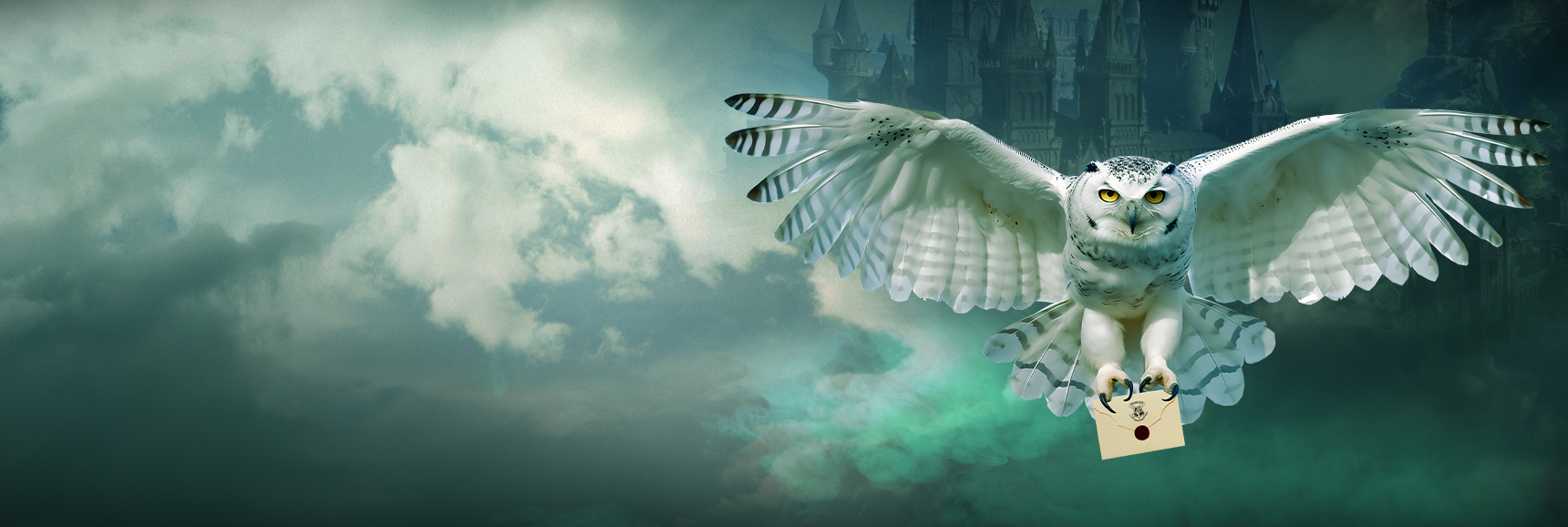 Гарри Поттер. Симфонический саундтрек Театрально-концертное агентство "Звёздный дождь"