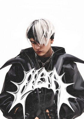 LIDA  Театрально-концертное агентство "Звёздный дождь"