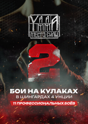 МЕСТО СИЛЫ 2 | Бои на кулаках - профессиональный турнир Театрально-концертное агентство "Звёздный дождь"