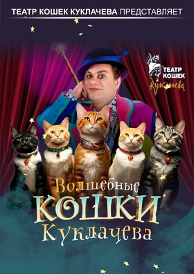 Владимир Куклачёв  Театрально-концертное агентство "Звёздный дождь"